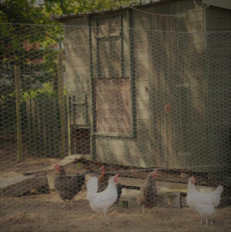 Forest Farm Papplewick Nottingham - Spacious Self-Contained Rural Retreat! 외부 사진